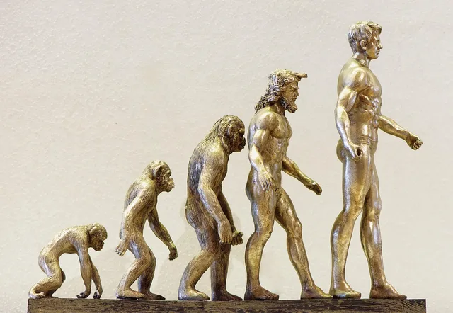 evolution, development, future, ape, human, changes, change, understanding, evolution, evolution, evolution, evolution, evolution. Automatyzacja a prognozy zawodowe: jak czytać ryzyko zmian