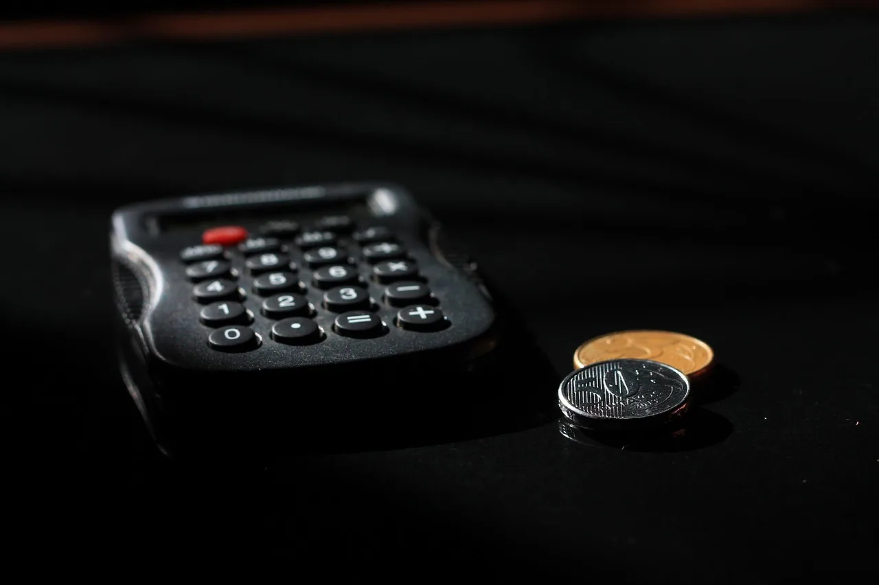 accounting, finances, coins, calculator, calculations, wage, income, wage, wage, wage, wage, wage